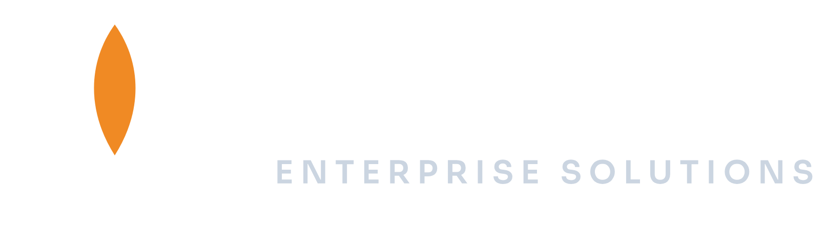 LYS Enterprise Solutions